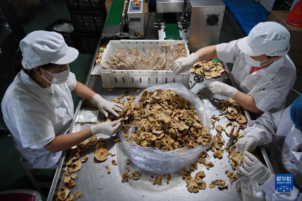 百家乐倍投